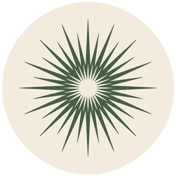Licht – IMPULS – Praxis
